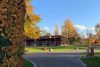 bfdl-Herbst2020-07.jpg